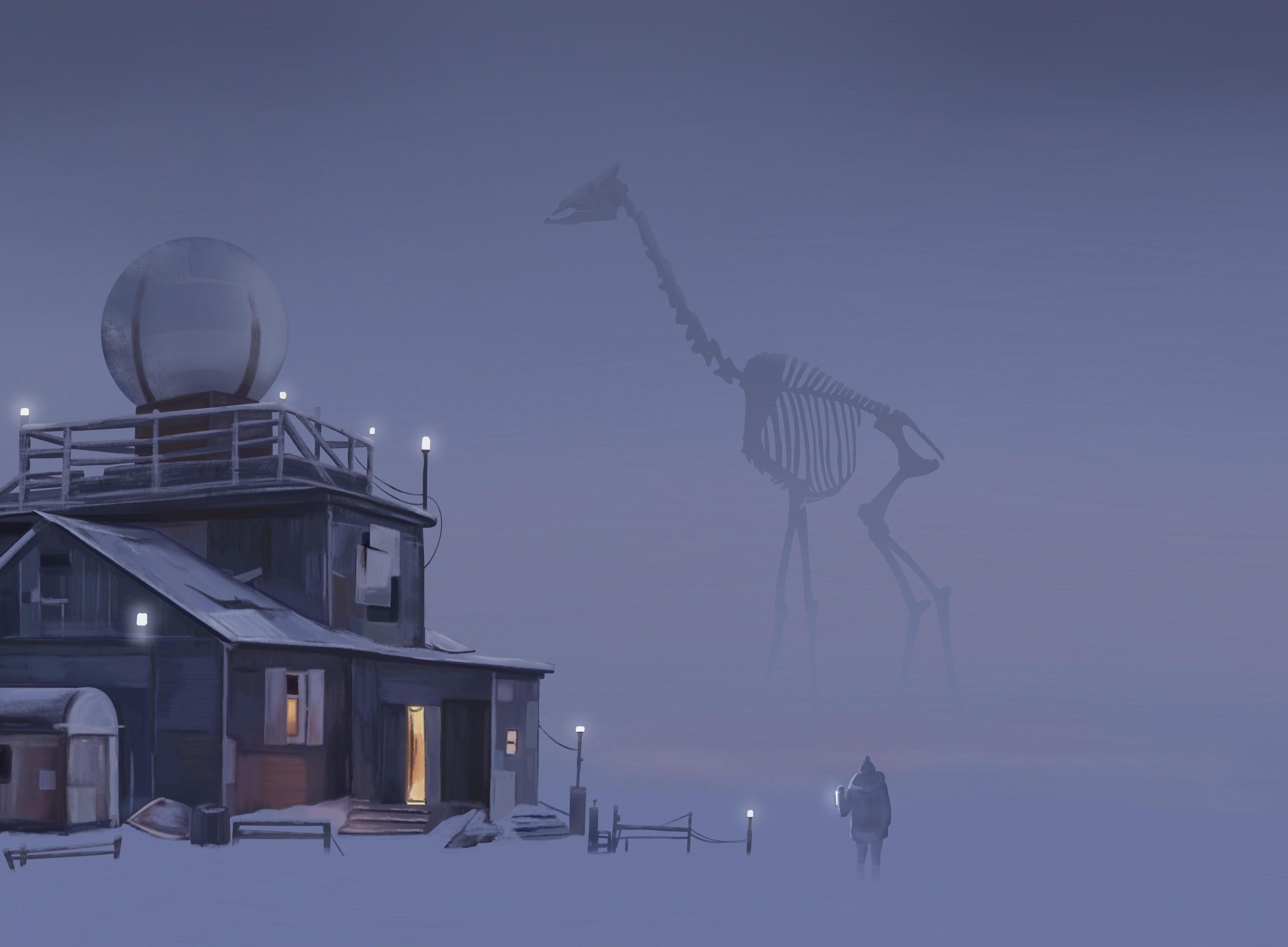 Skeleton